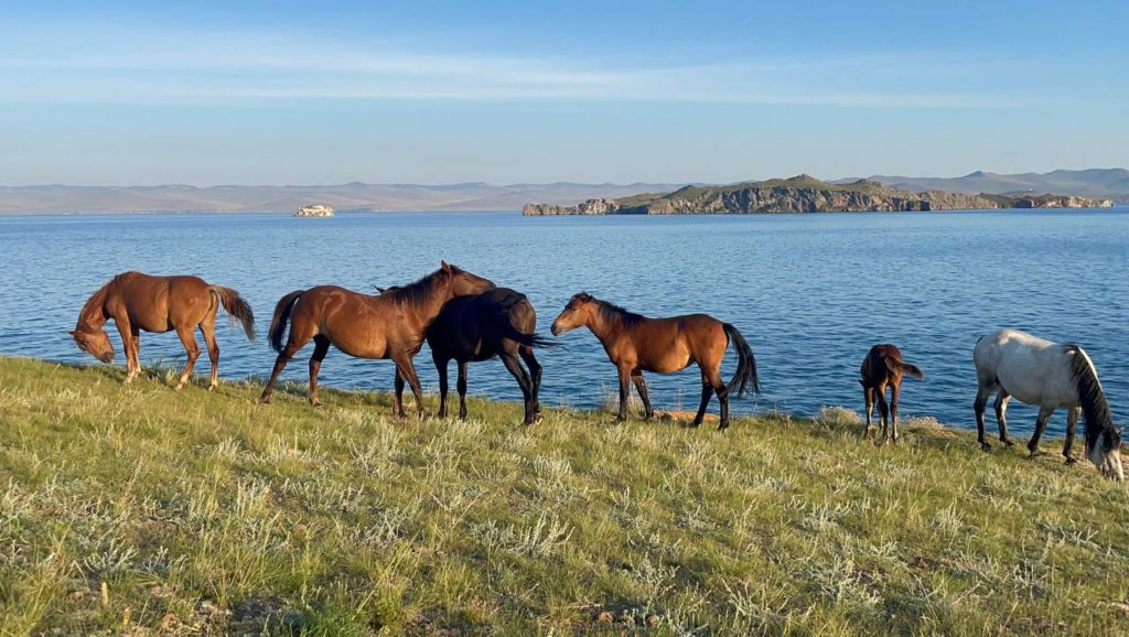 photo 2024 08 19 18 48 50 Катание на лошадях (остров Ольхон)